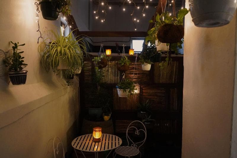 Urban Hive Backpackers (Adults Only) 2