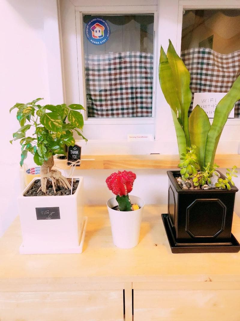 Sarang Guesthouse Dongdaemun 3