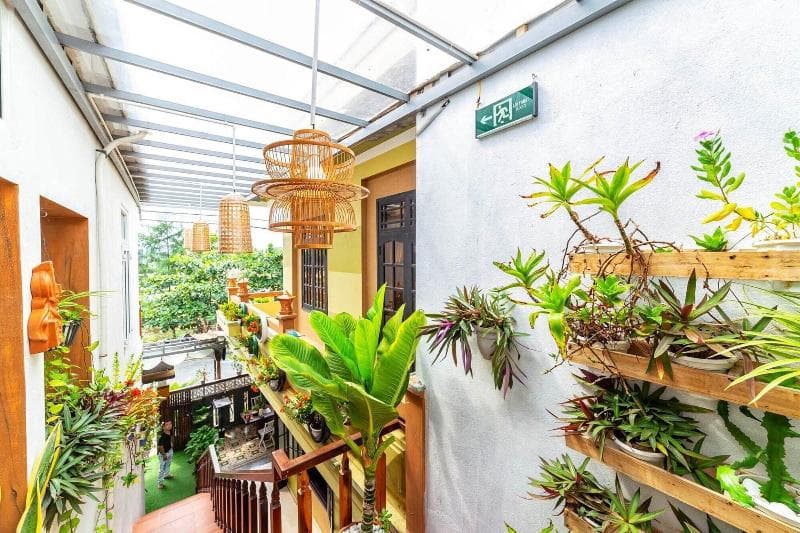 An Bang White Sand Sea Homestay 5