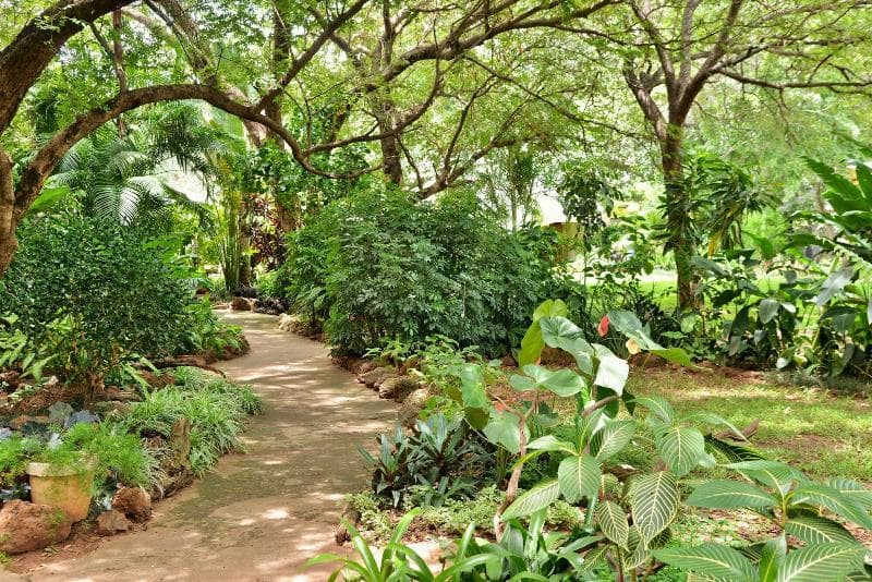Bayete Guest Lodge 5