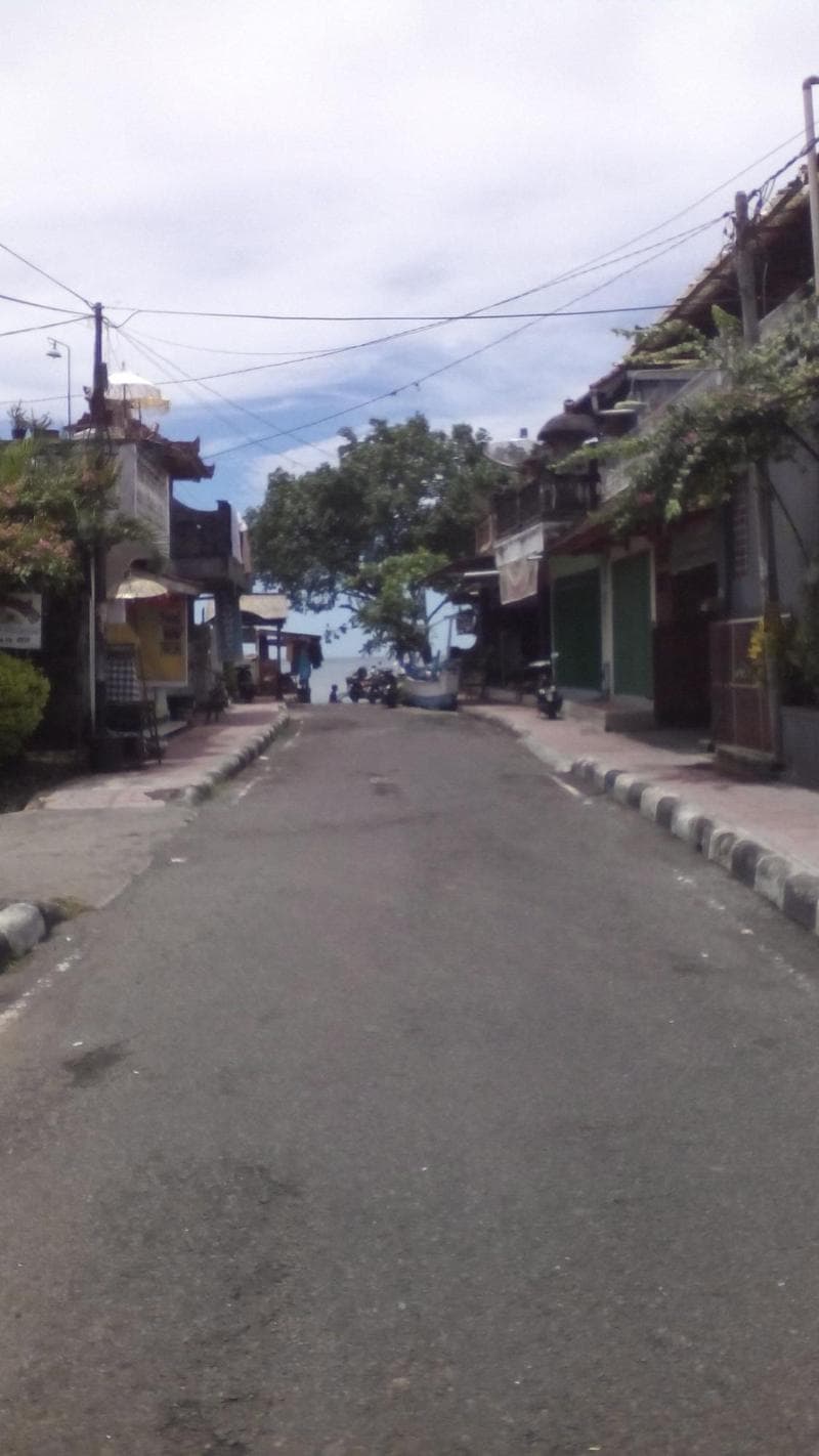 Puri Mandhara Lovina 5
