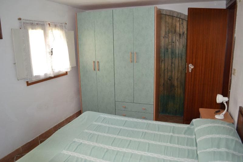 Holiday 3