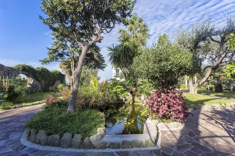 Hotel Terme Tritone 3