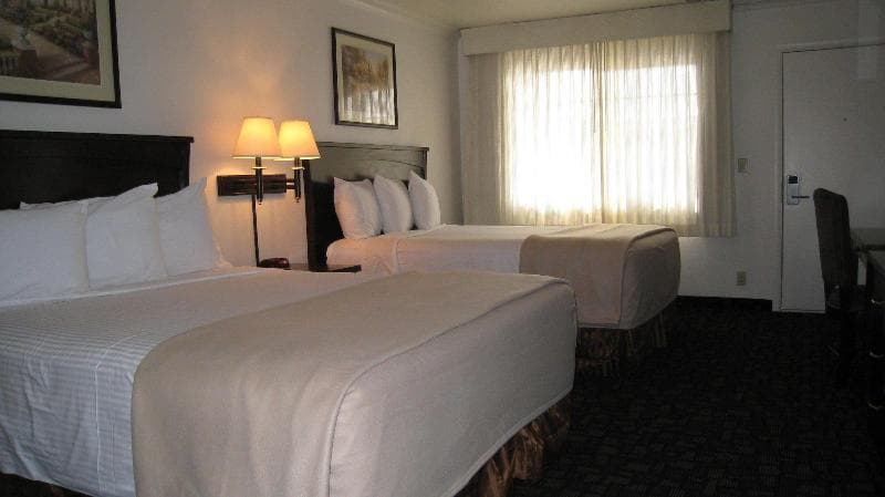 Discovery Inn 3