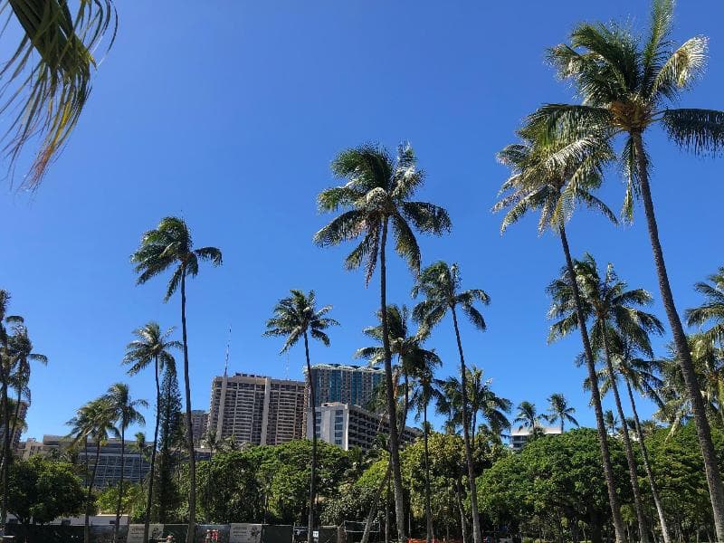 Waikiki Heritage Hotel 3