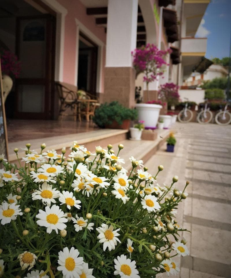 Hotel Le Tre Caravelle 3