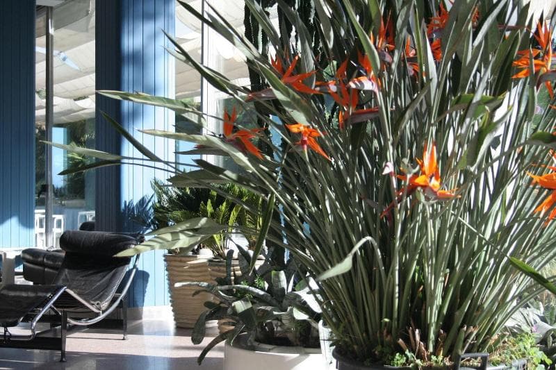 Hotel Caravelle 5