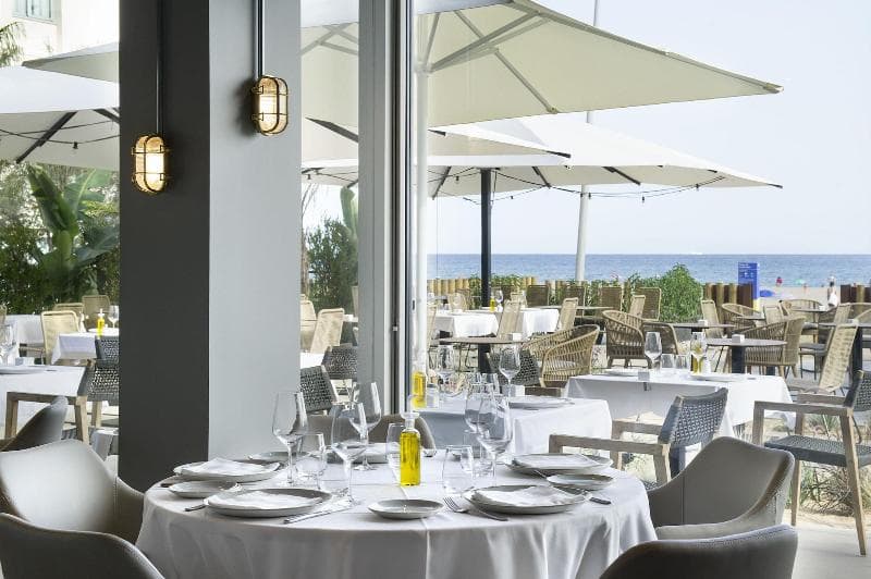 Hotel Boutique Donna (Adults only) 3