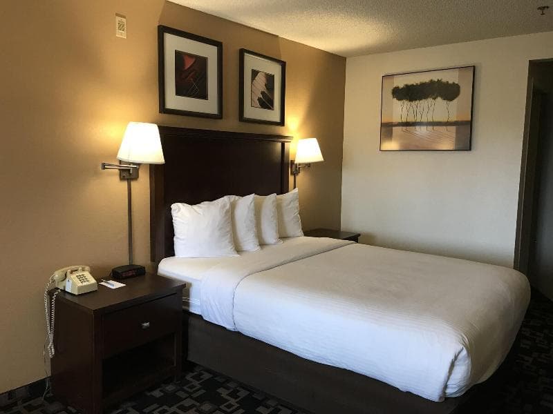 Morningglory Inn & Suites 4