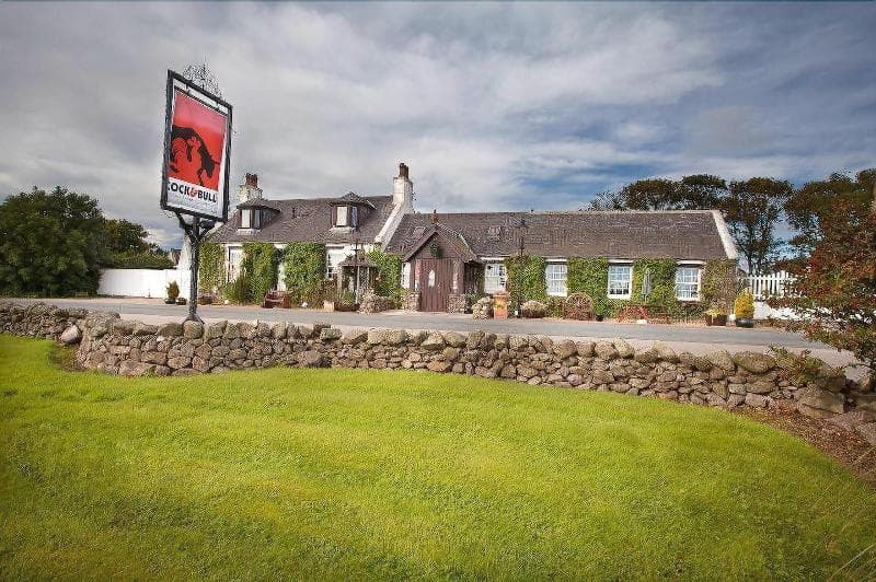 The Cock And Bull 5