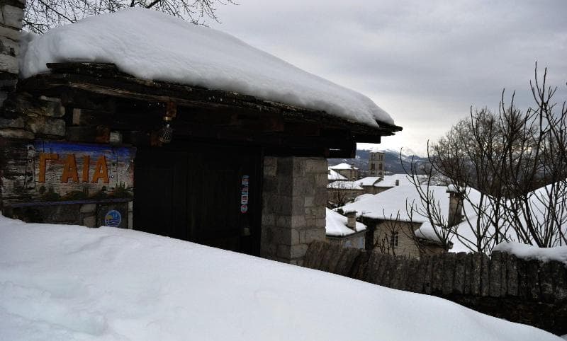 Gaia Guesthouse 5