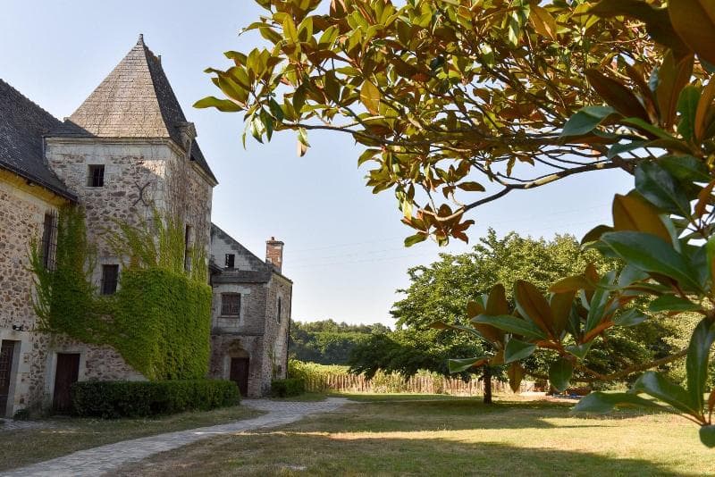 Manoir De Jouralem 5