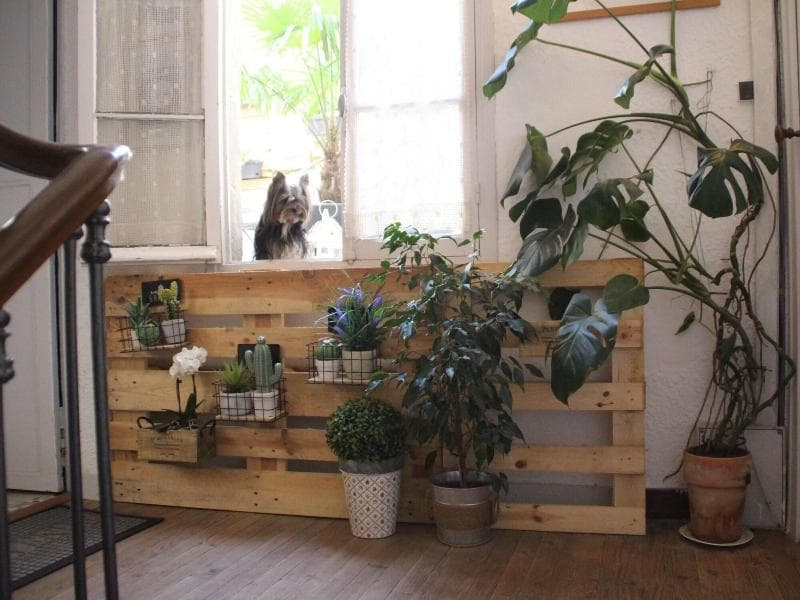 Une Chambre En Ville photo 1