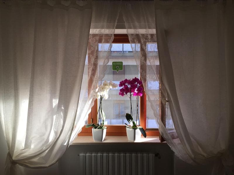 B&B Le Saline (Adults only) 2