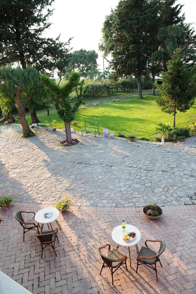 La Chora di Paestum 4