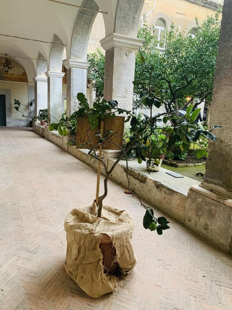 Relais Il Chiostro 4