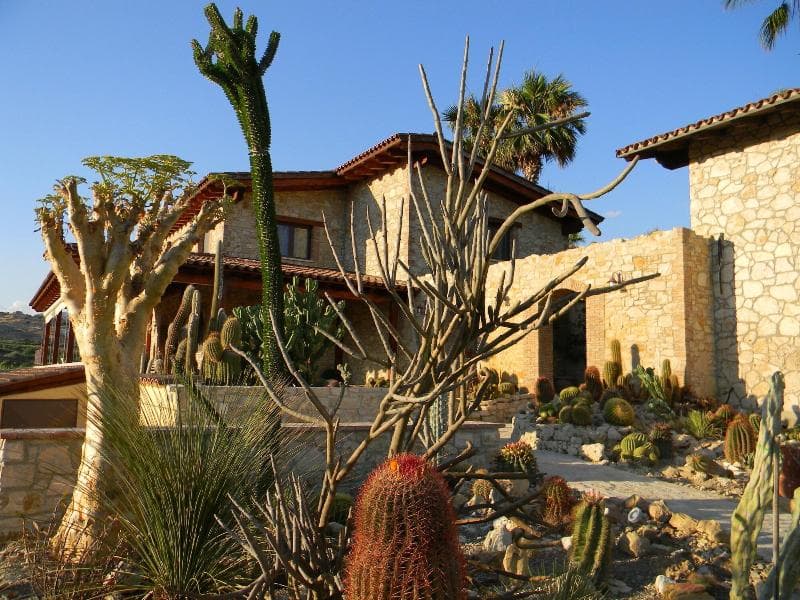 Relais Garden Cactus B&B main