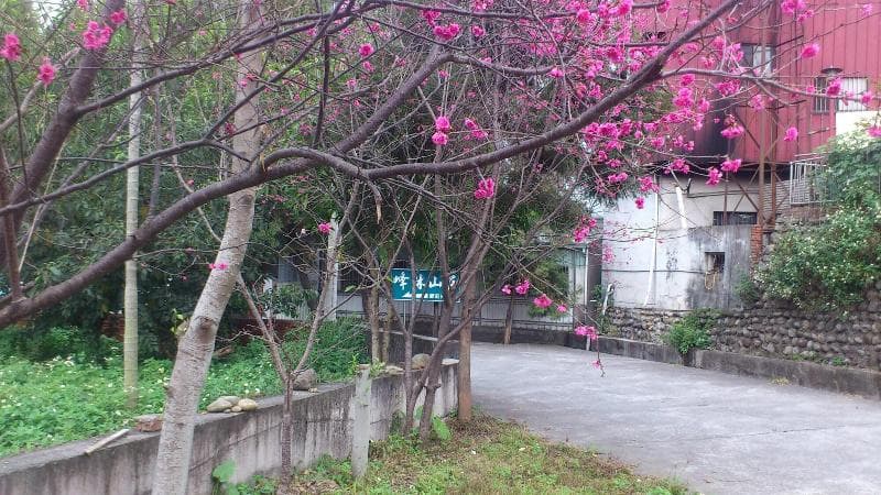 Feng Lin Homestay 4