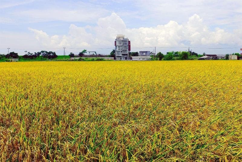 Wudai Homestay 5