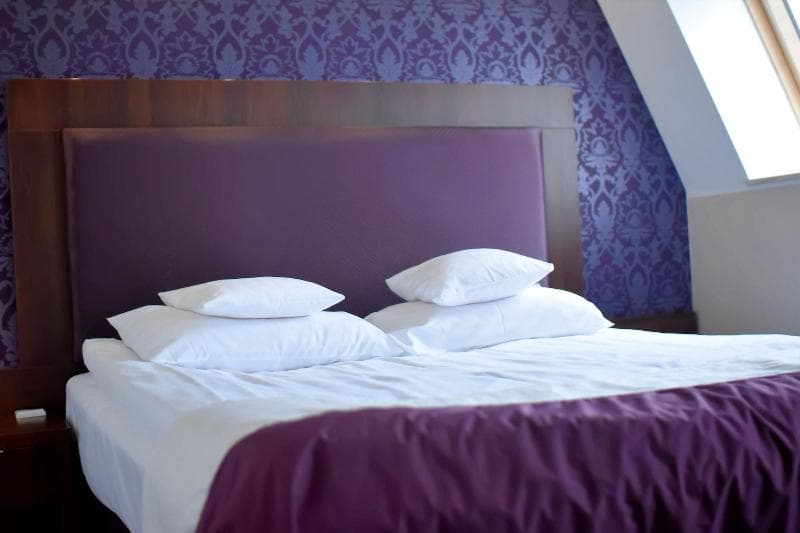 Hotel Zamek Centrum 4