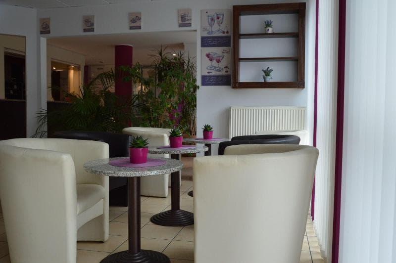 Primula photo 1
