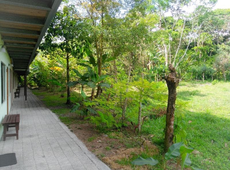 Arenal Xilopalo 4
