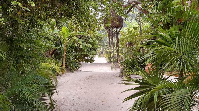 Ikal Hotel Tulum 4