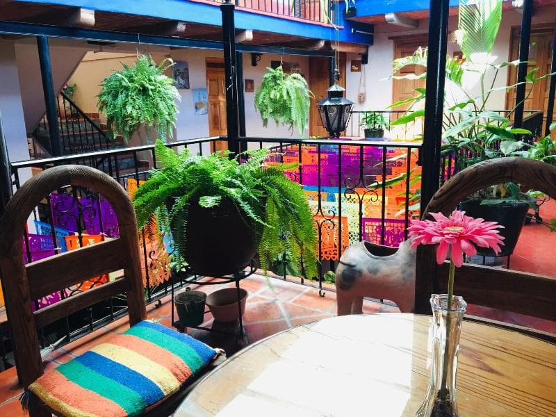 Hotel Cazomalli Oaxaca 3