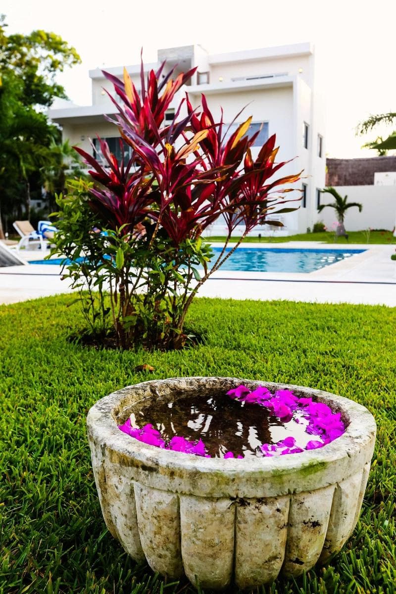 Xscapetulum 4