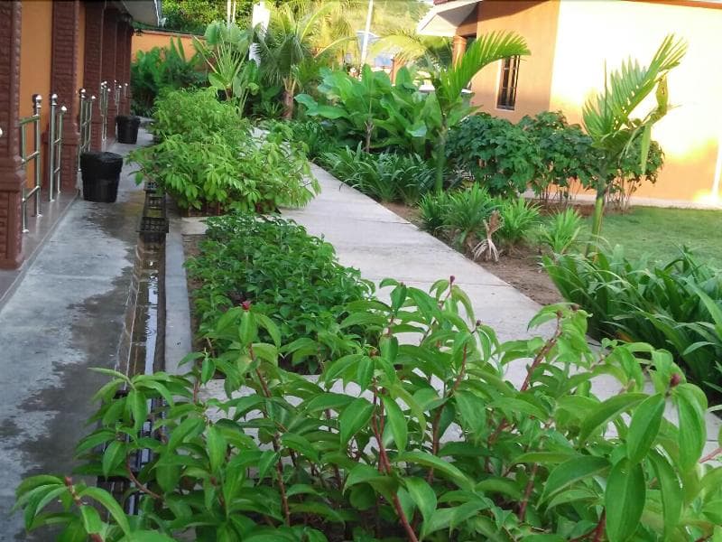 Chuu Pun Village Resort 4