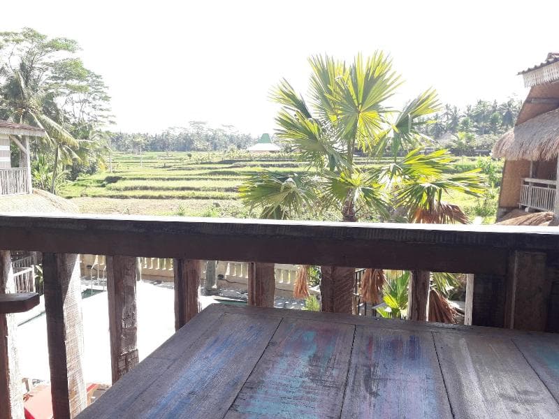 Royal JJ Ubud Resort and Spa 5
