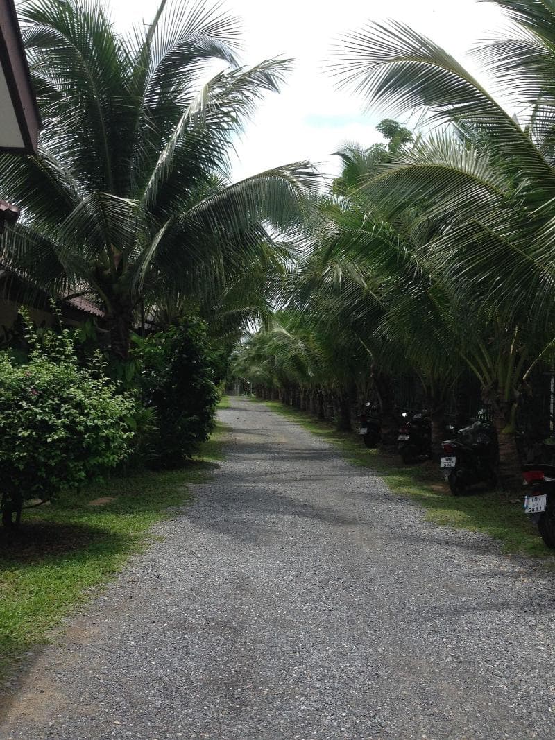 Naya Bungalow 4
