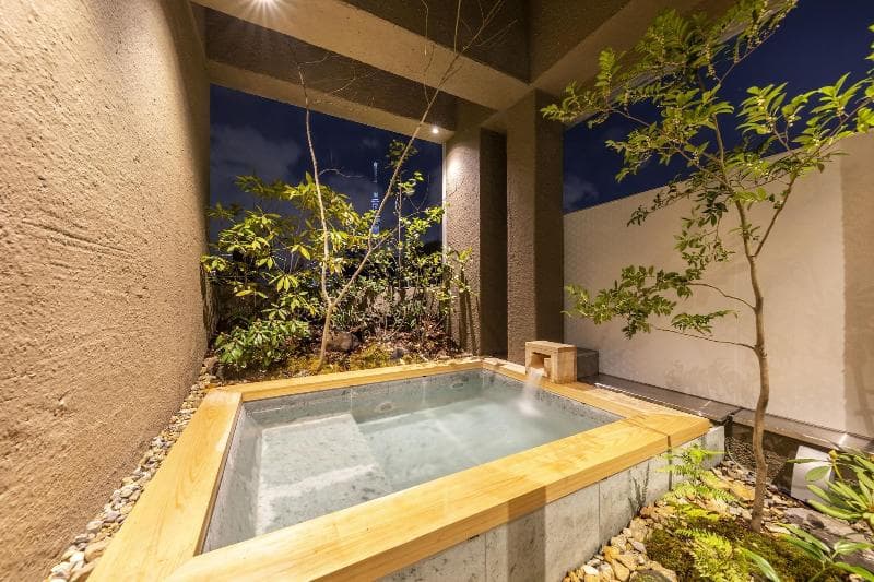 Cyashitsu Ryokan Asakusa 2