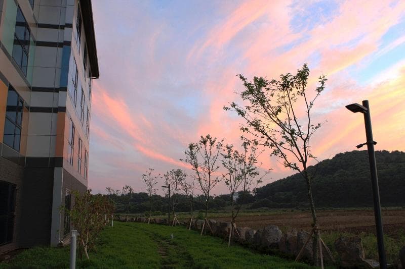 Jeju Stay Hotel 4
