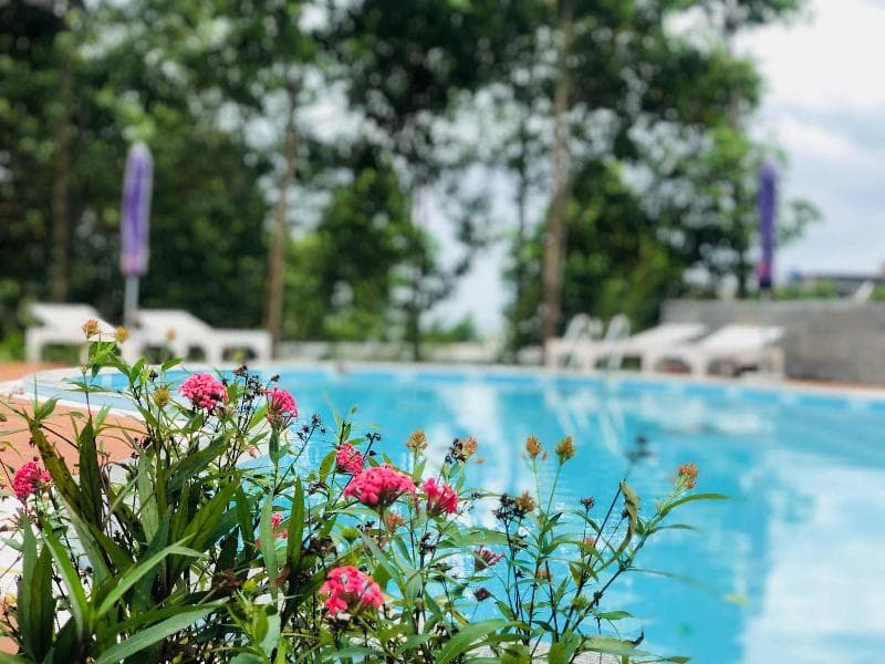 Doi Sao Phu Quoc main