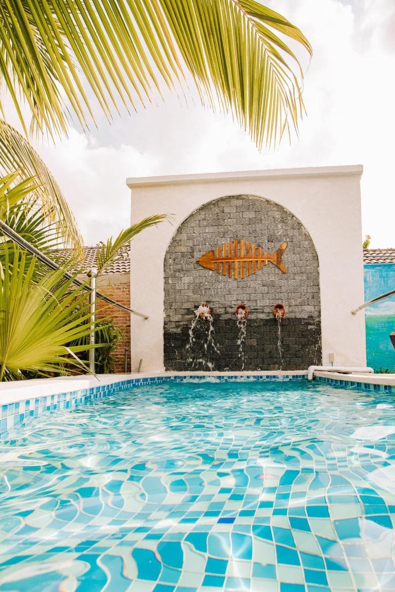 Palm Hill Resort photo 1