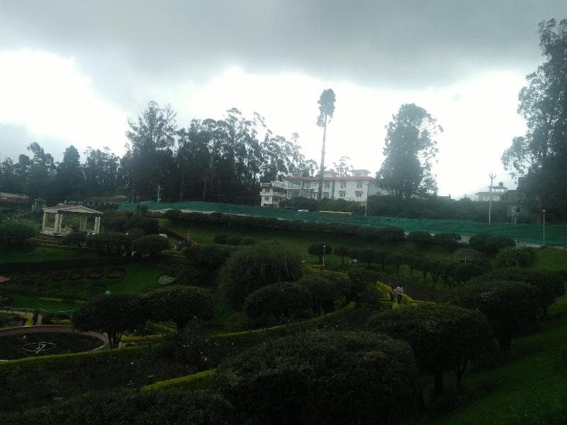 Rose Park Residency 4