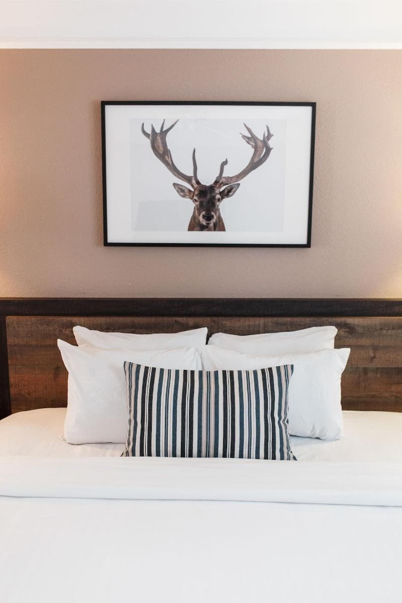 Inn At Mount Shasta 4