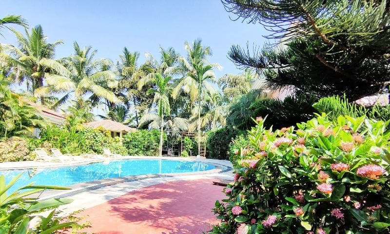 Indy Coconut Grove Beach Resort A Beach Property main