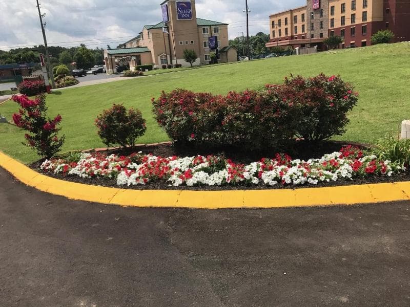 Lotus Inn And Suites photo 1