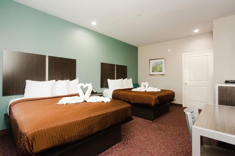 Express Inn - Spring 3