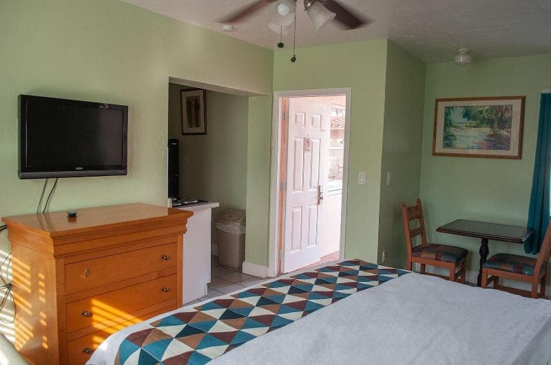 Hollywood Beach Swan 5