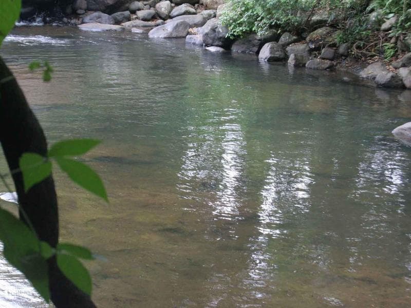 River Garden Resort main