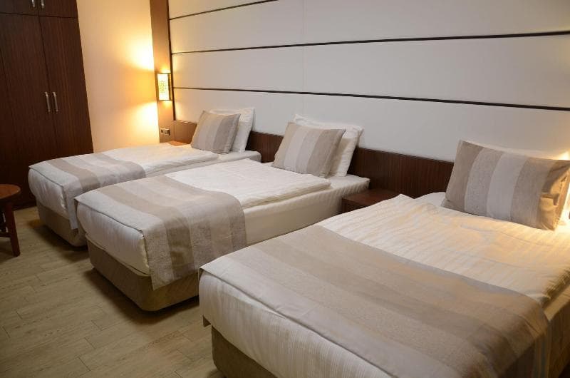 Safa Royal Museum Hotel photo 1