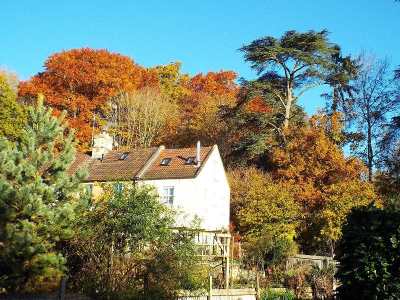 Meadowbrook Cottage B B 5