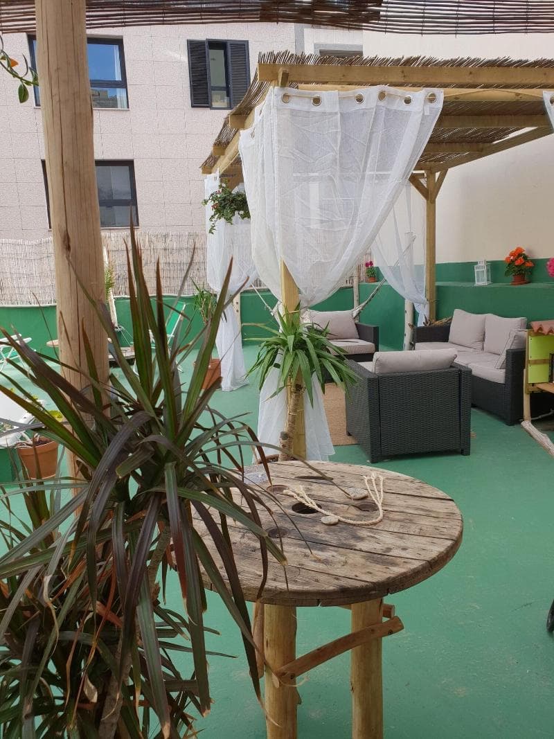 Cactus Host (Adults Only) 5