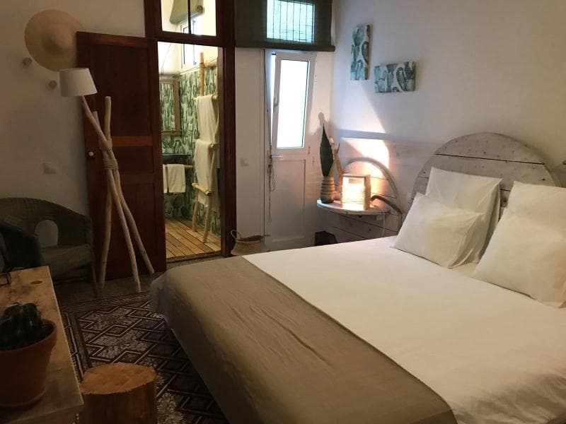 Cactus Host (Adults Only) 3