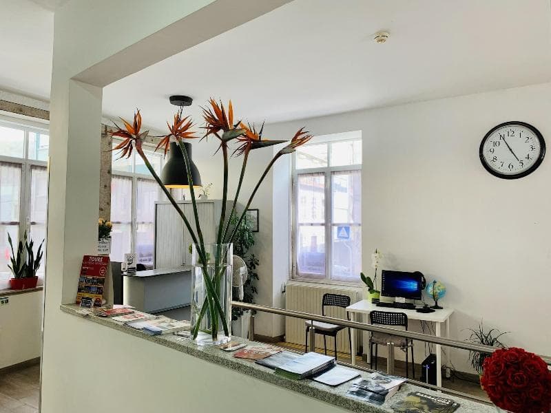 Urban Garden Porto Central Hostel (Adults Only) 5