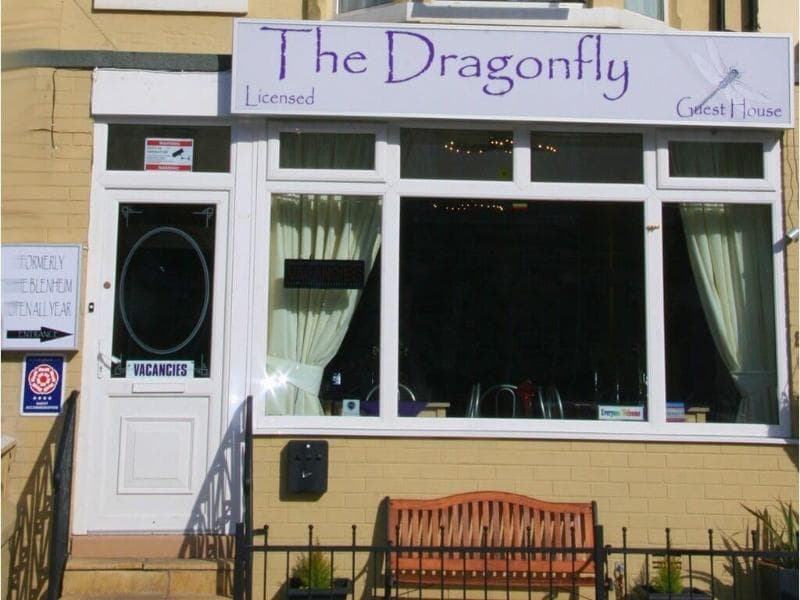 The Dragonfly (Adults Only) 3