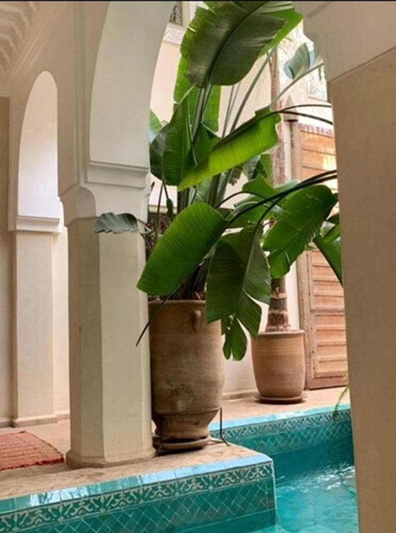 Riad Palacio De Las Especias photo 1